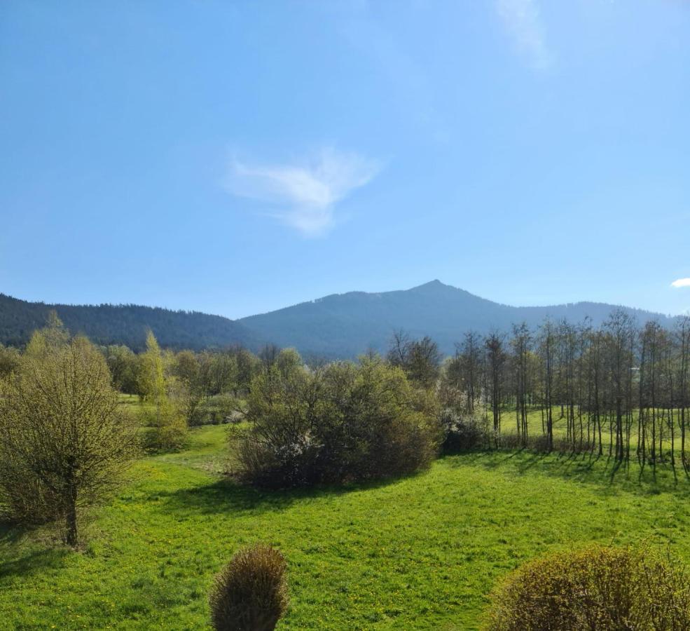 Ferienwohnung Hoamat Schmalzreich Andrea Lam Exteriör bild